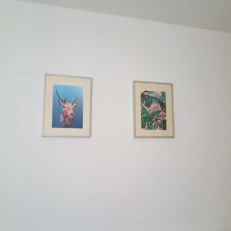 ワルシャワThe Residencyアパートメント エクステリア 写真